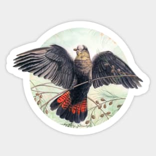 Glossy Black Cockatoo art by Nadya Neklioudova Sticker